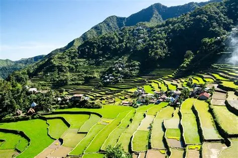 Explore the Enchanted Beauty of the Banaue Rice Terraces!